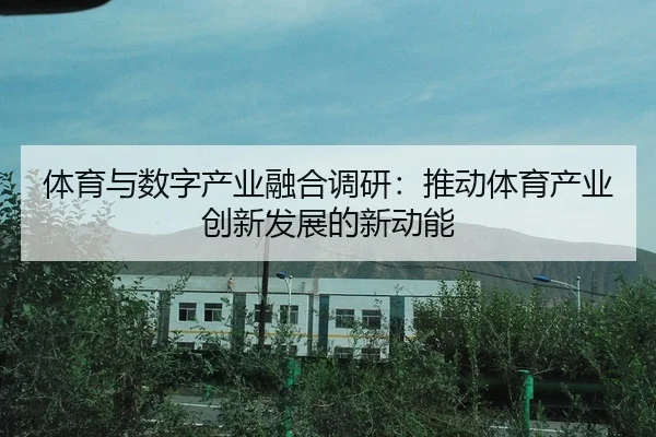 ti-yu-yu-shu-zi-chan-ye-rong-he-diao-yan-tui-dong-ti-yu-chan-ye-chuang-xin-fa-zhan-de-xin-dong-neng-2-143.jpg